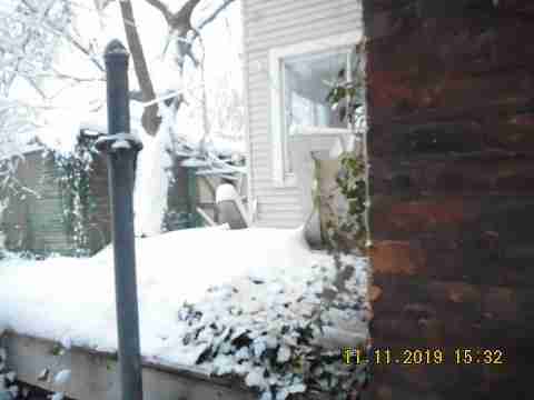 3319 Pingree (15)_m.jpg